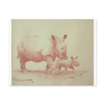 Rhino's postcards