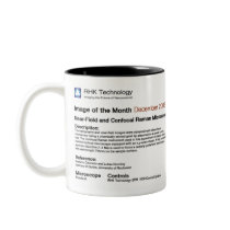 RHK Technology - Dec 2008 IOM Coffee Mug