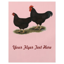 Rhode Island Red Bantams Flyer Design