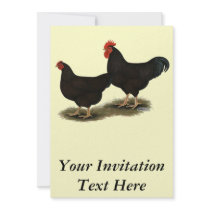 Rhode Island Red Bantams Invitations