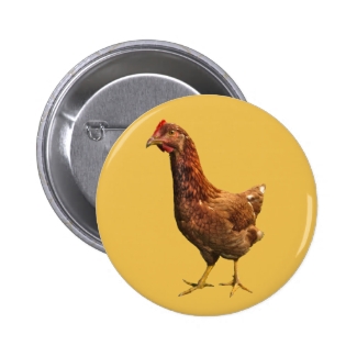 Rhode Island Red Hen Chicken Button