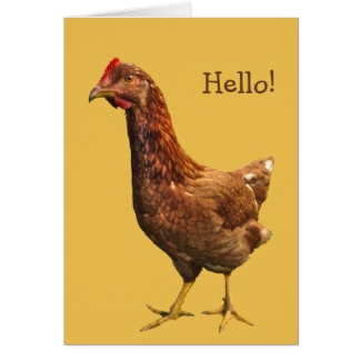 Rhode Island Red Hen Chicken Card
