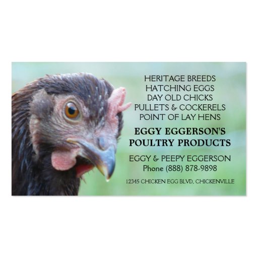 Rhode Island Red Hen Chicken Egg Farmer Business Cards (front side)