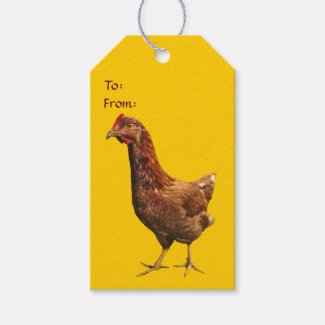 Rhode Island Red Hen Chicken Pack of Gift Tags