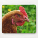 Rhode Island Red Hen mousepads