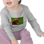 Rhode Island Red Hen Shirts