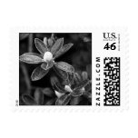 Rhodendron Buds Postage Stamp