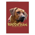 Rhodesian Ridgeback Card