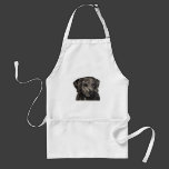 Rhodesian Ridgeback Dog Art - zulu Aprons