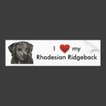 Rhodesian Ridgeback Dog Art - zulu Bumper Sticker