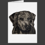 Rhodesian Ridgeback Dog Art - zulu Cards