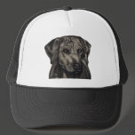 Rhodesian Ridgeback Dog Art - zulu Mesh Hats