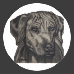 Rhodesian Ridgeback Dog Art - zulu Round Sticker