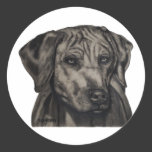 Rhodesian Ridgeback Dog Art - zulu Stickers