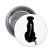 Rhodesian Ridgeback Dog Breed Spine