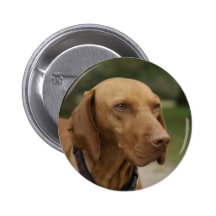 Rhodesian Ridgeback Dog Button