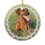 Rhodesian Ridgeback Dog Ornament ornament