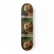 Rhodesian Ridgeback Dog Skateboard