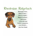 Rhodesian Ridgeback Gifts t-shirts