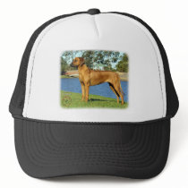 Rhodesian Ridgeback hats