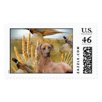 Rhodesian Ridgeback Hunts Stamp