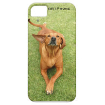 Rhodesian Ridgeback iPhone case iPhone 5 Covers