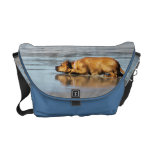 Rhodesian Ridgeback - Is the Water Cold? Messenger Bag