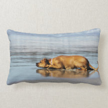 Rhodesian Ridgeback - Is the Water Cold? Throw Pillows