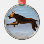 Rhodesian Ridgeback - Leap Ornament
