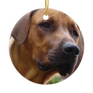 Rhodesian Ridgeback Ornament ornament