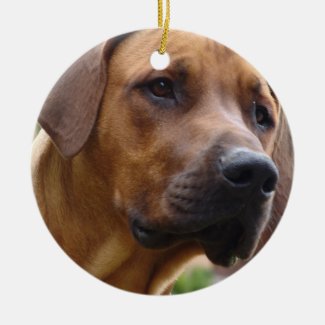 rhodesian ridgeback christmas ornament