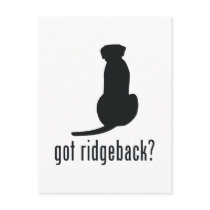 Rhodesian Ridgeback Post Cards