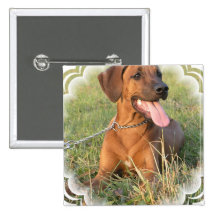 Rhodesian Ridgeback Rescue Square Pin
