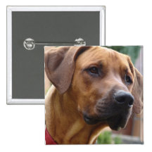 Rhodesian Ridgeback Square Pin