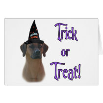 Rhodesian Ridgeback Trick Greeting Card