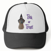 Rhodesian Ridgeback Trick Trucker Hat