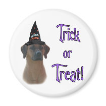 Rhodesian Ridgeback Trick Refrigerator Magnet