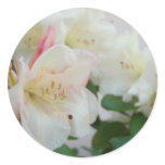 RHODIES AZALEA FLOWERS Azaleas Cards Gifts Mugs Round Sticker