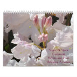 Rhodies Azaleas Calendar Sugar & Spice Pink White