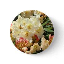 Rhodies Yellow 3 Cream Orange Rhododendrum Flowers Pinback Button