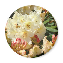 Rhodies Yellow 3 Cream Orange Rhododendrum Flowers Fridge Magnet