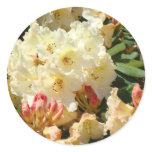 Rhodies Yellow 3 Cream Orange Rhododendrum Flowers Sticker