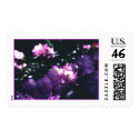 Rhododendron1 postage