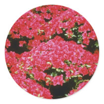 Rhododendron Azalea flowers Round Stickers