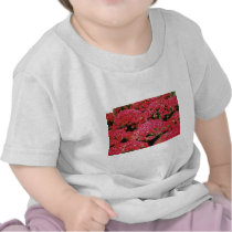 Rhododendron Azalea flowers T-shirt