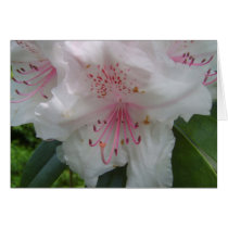 Rhododendron cards