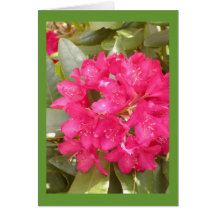 Rhododendron Flower greeting card