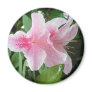 Rhododendron Flowers