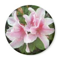 Rhododendron Flowers Refrigerator Magnet