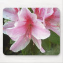 Rhododendron Flowers mousepads by LivingNature Rhododendron Flowers mousepads